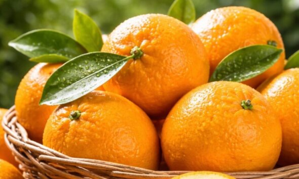 Στο Νεοχώρι το Σάββατο, 14 Μαρτίου 2026 και ώρα 6 το απόγευμα στη Μικρή Πλατεία υποδέχονται την Άνοιξη με το «1ο Φεστιβάλ Πορτοκαλιού Οινιαδών».