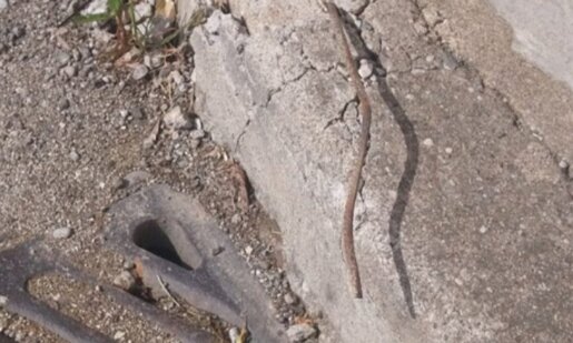 Μεγάλη προσοχή χρειάζεται σε σημείο εντός της πόλεως του Αγρινίου κι αυτό γιατί υπάρχει ένα σκουριασμένο σίδερο που προεξέχει σε πεζοδρόμιο κοντά στο Γήπεδο του Παναιτωλικού.