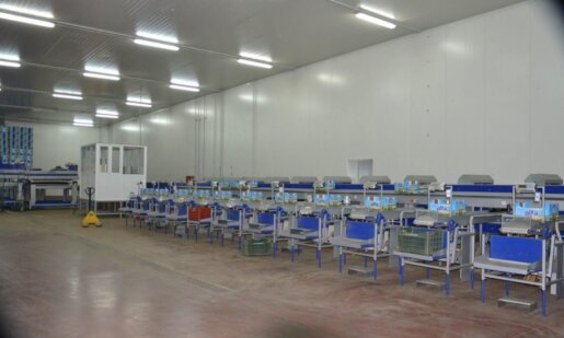 Ο Αγροτικός Συνεταιρισμός Νεάπολης Αγρινίου δέχεται αιτήσεις για πρόσληψη εποχιακών εργατών για το συσκευαστήριο σπαραγγιών στη Νεάπολη Αγρινίου.