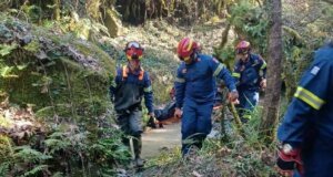 Πένθος έχει σημάνει στο Ζελίχοβο Αγρινίου καθώς μια 60χρονη μητέρα δύο παιδιών που αγνοούνταν εντοπίστηκε νεκρή κατά τις μεσημεριανές ώρες της 1ης Μαρτίου 2026.
