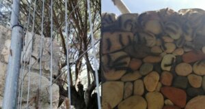 Ο Βάρνακας Ξηρομέρου βρίσκεται στην επικαιρότητα καθώς στις αυλές των σπιτιών εμφανίστηκαν κάμπιες - Στο AgrinioTimes.gr τοποθετήθηκαν Χάρης Λιότσος και Γιάννης Τριανταφυλλάκης.