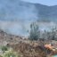 Στο Κάτω Κεράσοβο σημειώθηκε πυρκαγιά κατά τις πρωινές ώρες της 31ης Μαΐου και μάλιστα σε αγροτική περιοχή, τα εύσημα Βασιλείου στους χειριστές του Δήμου Αγρινίου.