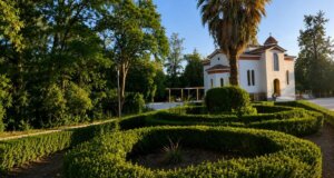 Στο Παπαστράτειο Πάρκο Αγρινίου κατά τις απογευματινές ώρες της 1ης Ιουνίου ένας άνδρας 93 ετών προχώρησε σε γενετήσιες πράξεις μπροστά σε ανήλικα παιδιά.
