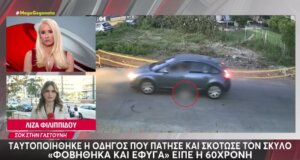 Στη Γαστούνη Ηλείας την περασμένη Πέμπτη (18/06) γυναίκα οδηγός πάτησε και σκότωσε σκύλο, αφού ταυτοποιήθηκε δήλωσε πως φοβήθηκε κι έφυγε.