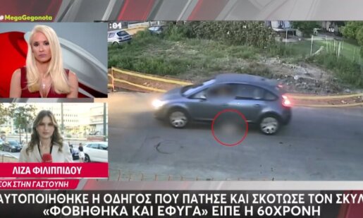 Στη Γαστούνη Ηλείας την περασμένη Πέμπτη (18/06) γυναίκα οδηγός πάτησε και σκότωσε σκύλο, αφού ταυτοποιήθηκε δήλωσε πως φοβήθηκε κι έφυγε.