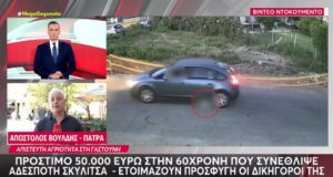 Στη Γαστούνη Ηλείας επιβλήθηκε «τσουχτερό» πρόστιμο 50 χιλιάδων ευρώ στην 60χρονη οδηγό που συνέθλιψε αδέσποτη σκυλίτσα.