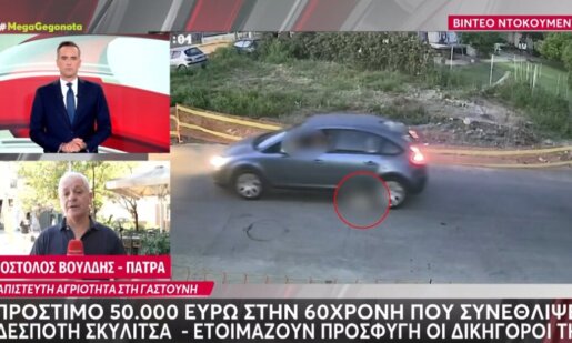 Στη Γαστούνη Ηλείας επιβλήθηκε «τσουχτερό» πρόστιμο 50 χιλιάδων ευρώ στην 60χρονη οδηγό που συνέθλιψε αδέσποτη σκυλίτσα.