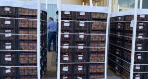 Ο Δήμος Αγρινίου γνωστοποίησε πως το πρωί της Τετάρτης, 10 Ιουνίου 2026 θα πραγματοποιηθεί η διανομή τροφίμων από το Κοινωνικό Παντοπωλείο για τους δικαιούχους.