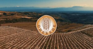 Σε ό,τι αφορά το σκάνδαλο του Ο.Π.Ε.Κ.Ε.Π.Ε. το πρωί της Τετάρτης, 03 Ιουνίου 2026 συνελήφθησαν άτομα και στο Αγρίνιο για παράνομες επιδοτήσεις.