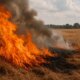 Από το Πυροσβεστικό Σώμα Ελλάδας έγινε κι επίσημα γνωστό πως συνελήφθη για τέσσερις πυρκαγιές ένας μεσήλικας ως ο εμπρηστής του Αγρινίου, μετά από συμβάν στην Παραβόλα.