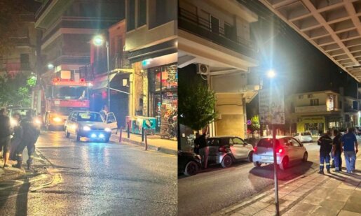 Στο Αγρίνιο σήμανε συναγερμός στην Πυροσβεστική αργά το βράδυ της 23ης Ιουλίου για επιχείρηση διάσωσης γατιού που εγκλωβίστηκε σε καλώδια της Δ.Ε.Η.