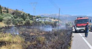 Η Ναύπακτος στο επίκεντρο των εξελίξεων μιας και η φωτιά που εκδηλώθηκε στον Πλατανίτη ήταν ισχυρή όμως οι Πυροσβέστες πρόλαβαν τα χειρότερα.