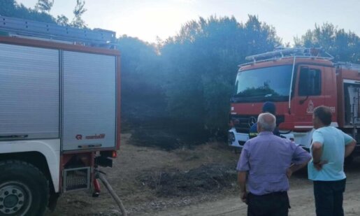 Στη Σπολάιτα Αγρινίου κατά τις απογευματινές ώρες σημειώθηκε κινητοποίηση της Πυροσβεστικής για μεγάλη φωτιά, επιχείρησαν και εναέρια και επίγεια μέσα.