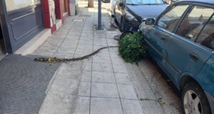 Στο Αγρίνιο την Πέμπτη, 23 Ιουλίου 2026 μεταφερθήκαμε από τον καύσωνα στους ισχυρούς ανέμους με αποτέλεσμα να προκληθούν μικροζημιές εντός πόλεως.