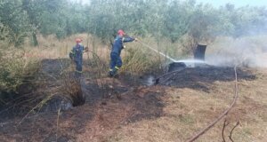 Στο Παναιτώλιο Αγρινίου το απόγευμα της 4ης Ιουλίου ένας κεραυνός φέρεται να προκάλεσε φωτιά σε λιοστάσι με την επέμβαση της Πυροσβεστικής Υπηρεσίας να είναι άμεση.