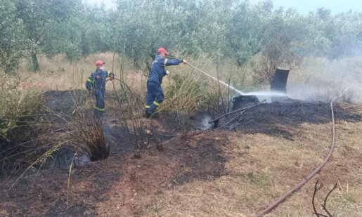 Στο Παναιτώλιο Αγρινίου το απόγευμα της 4ης Ιουλίου ένας κεραυνός φέρεται να προκάλεσε φωτιά σε λιοστάσι με την επέμβαση της Πυροσβεστικής Υπηρεσίας να είναι άμεση.