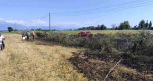 Στην Κάτω Βασιλική Ναυπακτίας κατά τις απογευματινές ώρες της 12ης Ιουλίου ξέσπασε φωτιά στα Κωστέϊκα, άμεση ήταν η κινητοποίηση της Πυροσβεστικής Υπηρεσίας.