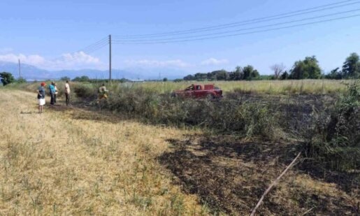 Στην Κάτω Βασιλική Ναυπακτίας κατά τις απογευματινές ώρες της 12ης Ιουλίου ξέσπασε φωτιά στα Κωστέϊκα, άμεση ήταν η κινητοποίηση της Πυροσβεστικής Υπηρεσίας.