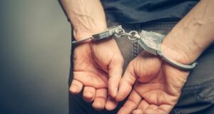 Από την ΕΛ.ΑΣ. έγινε γνωστό πως στην Ηλεία τις μεσημεριανές ώρες της 26ης Αυγούστου 2026 σημειώθηκε μία σύλληψη για καλλιέργεια και κατοχή ναρκωτικών.
