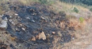 Κινητοποίηση στο Αγρίνιο το απόγευμα της 25ης Αυγούστου για δύο εστίες πυρκαγιάς στο Δασύλλιο του Αγίου Χριστοφόρου, άμεση η επέμβαση της Πυροσβεστικής Υπηρεσίας.