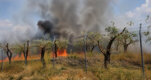 Στη Νεάπολη Αγρινίου λίγο πριν τις 13:00 ξέσπασε μεγάλη Πυρκαγιά στον Οικισμό Υψηλή Παναγιά κάτι που προκάλεσε την άμεση κινητοποίηση της Πυροσβεστικής Υπηρεσίας.