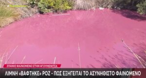 Στο Μακρυγιάλι Ηγουμενίτσας αντικείμενο συζήτησης έγινε γίνει τις τελευταίες ώρες το γεγονός πως το νερό έχει αποκτήσει μια ροζ - φούξια απόχρωση κάτι για το οποίο άπαντες απορούν.