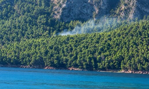 Μια πρωινή πυρκαγιά στον Άγιο Κωνσταντίνο Καλάμου κινητοποίησε άπαντες στην Πυροσβεστική Υπηρεσία ωε και εναέρια μέσα πραγματοποίησαν ρίψεις.