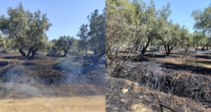 Αναστάτωση προκλήθηκε στην περιοχή Στράτος Αγρινίου για μια νέα πυρκαγιά η οποία κινητοποίησε την Πυροσβεστική Υπηρεσία, επιχειρούν και εναέρια μέσα.