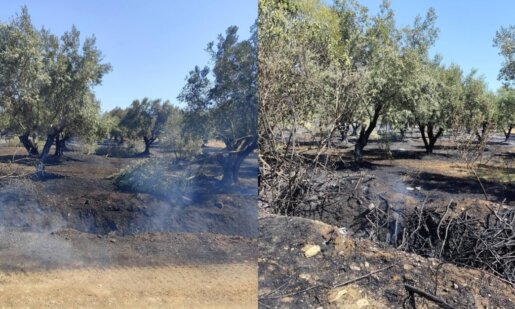 Αναστάτωση προκλήθηκε στην περιοχή Στράτος Αγρινίου για μια νέα πυρκαγιά η οποία κινητοποίησε την Πυροσβεστική Υπηρεσία, επιχειρούν και εναέρια μέσα.