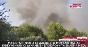 Στο Μουζάκι Ηλείας κατά τις απογευματινές ώρες της Κυριακής (09/08) ξέσπασε μεγάλη πυρκαγιά σε πευκοδάσος με της ενισχύσεις από Πάτρα και Αιτωλοακαρνανία να είναι ισχυρές.