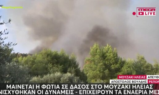 Στο Μουζάκι Ηλείας κατά τις απογευματινές ώρες της Κυριακής (09/08) ξέσπασε μεγάλη πυρκαγιά σε πευκοδάσος με της ενισχύσεις από Πάτρα και Αιτωλοακαρνανία να είναι ισχυρές.