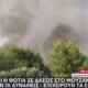 Στο Μουζάκι Ηλείας κατά τις απογευματινές ώρες της Κυριακής (09/08) ξέσπασε μεγάλη πυρκαγιά σε πευκοδάσος με της ενισχύσεις από Πάτρα και Αιτωλοακαρνανία να είναι ισχυρές.