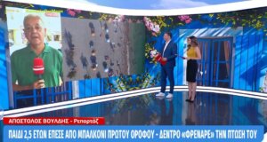 Στην Πάτρα ένα παιδάκι μόλις 2,5 ετών έπεσε από μπαλκόνι πρώτου ορόφου, ωστόσο ένα δέντρο ήταν εκείνο που του έσωσε τη ζωή, σύμφωνα με την εκπομπή «Κοινωνία Ώρα Mega».