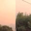 Η Φωκίδα δοκιμάστηκε από τις πυρκαγιές καθ' όλη τη διάρκεια της 1ης ημέρας του Αυγούστου, εκκενώθηκε και το Πευκάκι - «Μάχη» για να σωθούν σπίτια.