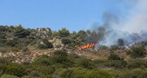 Στην Ποταμούλα Αγρινίου αλλά και τις γύρω περιοχές σήμανε συναγερμός λόγω του 112 για πυρκαγιά στην περιοχή, τέθηκε άμεσα υπό έλεγχο.
