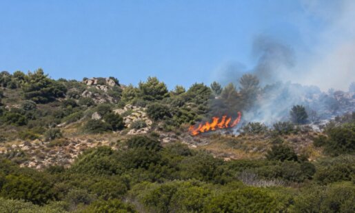 Στην Ποταμούλα Αγρινίου αλλά και τις γύρω περιοχές σήμανε συναγερμός λόγω του 112 για πυρκαγιά στην περιοχή, τέθηκε άμεσα υπό έλεγχο.