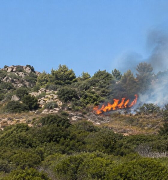 Στην Ποταμούλα Αγρινίου αλλά και τις γύρω περιοχές σήμανε συναγερμός λόγω του 112 για πυρκαγιά στην περιοχή, τέθηκε άμεσα υπό έλεγχο.
