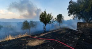 Ο Δημοτικός Σύμβουλος Αγρινίου, Κωνσταντίνος Κιτσοπάνος, αναρωτιέται αν υπάρχει στελέχωση της Πυροσβεστικής Υπηρεσίας ή υποστελέχωση και έλλειψη οχημάτων.
