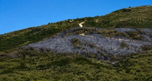 Η περιοχή Στάνος Αμφιλοχίας δοκιμάστηκς αρκετά την 1η του Αυγούστου όμως σήμερα τα πράγματα είναι διαφορετικά δίχως ενεργές εστίες αλλά η επιτήρηση συνεχίζεται.