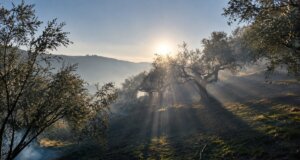 Στα Φραγκουλαίικα σημειώθηκε απογευματινή κινητοποίηση για πυρκαγιά που ξέσπασε επιχειρώντας στο σημείο και εναέρια μέσα ενώ ήχησε το 112.