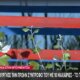 Συγκλονισμένοι είναι άπαντες μετά τη νέα Γυναικοκτονία αυτή τη φορά στην Ηγουμενίτσα ενώ τα ευρήματα του Ιατροδικαστή σοκάρουν, απολογείται την Πέμπτη (24/09) ο 27χρονος.