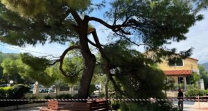 Στον Λυγιά Ναυπακτίας και συγκεκριμένα στον Άγιο Νικόλαο την Κυριακή, 20 Σεπτεμβρίου 2026 εν ώρα κηδείας έπεσε ένα τμήμα ενός πεύκου που είχε ως αποτέλεσμα να τραυματιστούν τρεις άνθρωποι.