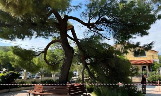 Στον Λυγιά Ναυπακτίας και συγκεκριμένα στον Άγιο Νικόλαο την Κυριακή, 20 Σεπτεμβρίου 2026 εν ώρα κηδείας έπεσε ένα τμήμα ενός πεύκου που είχε ως αποτέλεσμα να τραυματιστούν τρεις άνθρωποι.
