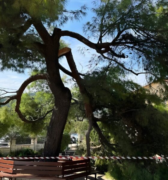 Στον Λυγιά Ναυπακτίας και συγκεκριμένα στον Άγιο Νικόλαο την Κυριακή, 20 Σεπτεμβρίου 2026 εν ώρα κηδείας έπεσε ένα τμήμα ενός πεύκου που είχε ως αποτέλεσμα να τραυματιστούν τρεις άνθρωποι.