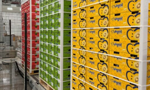Στο Αγρίνιο εταιρεία συσκευασίας και εμπορίας ακτινιδίων αναζητά υπάλληλο για την καταχώρηση, παρακολούθηση και έλεγχο των στοιχείων παραγωγής στο συσκευαστήριο.